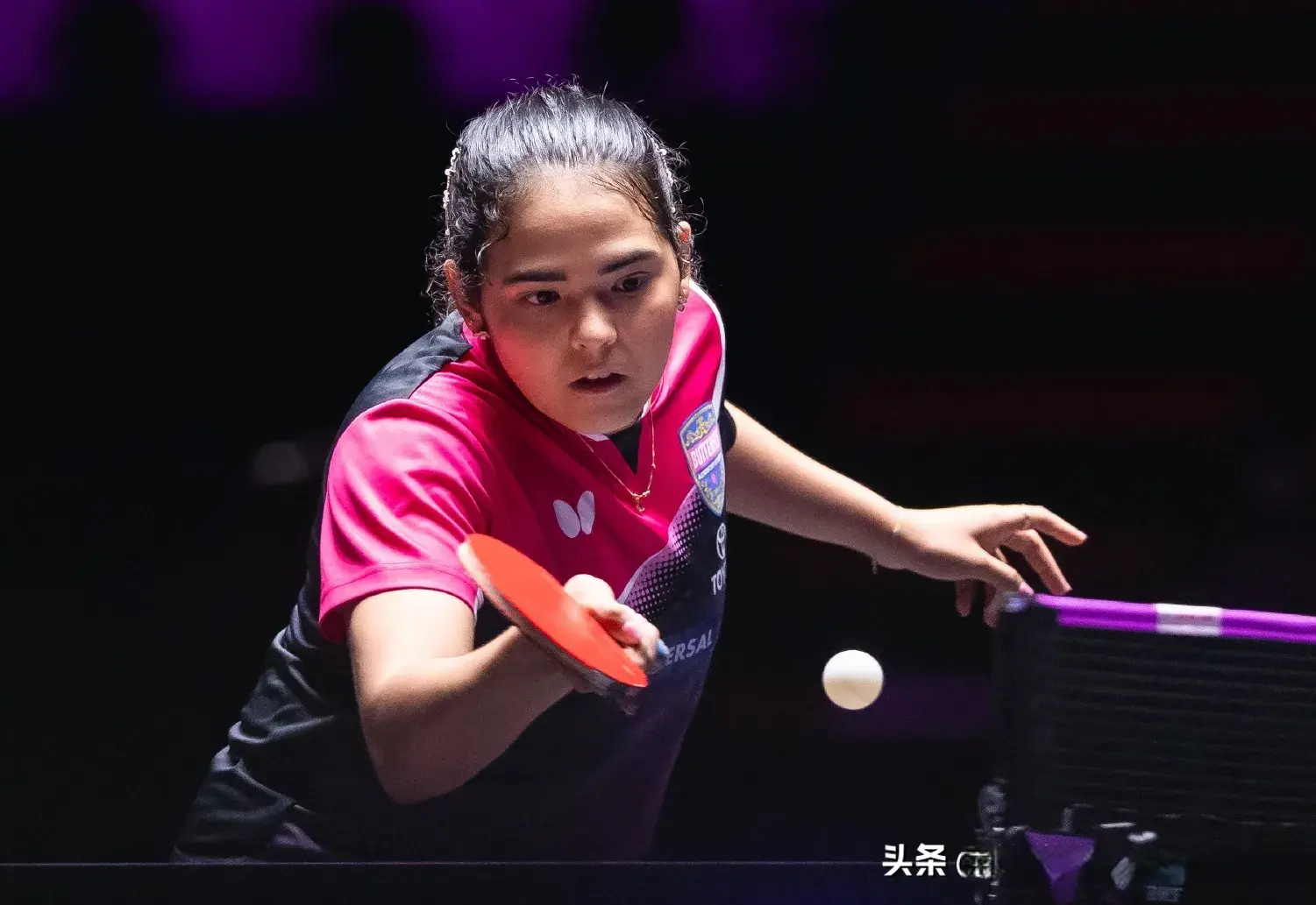 澳门冠军赛 澳门冠军赛