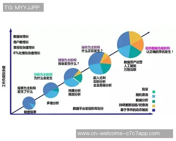阿根廷与比利时比赛数据分析图揭示双方表现差异与关键因素